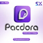 Tài Khoản Pacdora Pro
